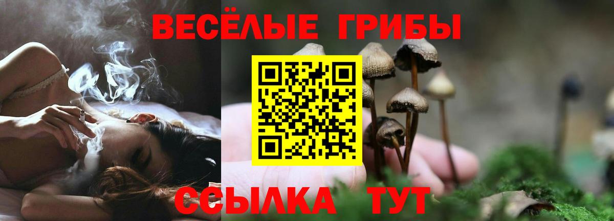 Галлюциногенные грибы GOLDEN TEACHER  Вход с VPN  Краснокамск 